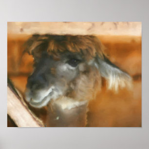 Poster Cute Llama Visage Art Animal de ferme