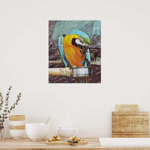POSTER CUTE MACAW