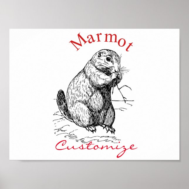 Poster Cute Marmot Animal Thunder_Cove (Devant)