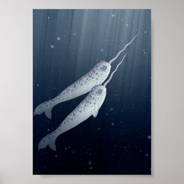 Poster Cute Narwhals Nager Ensemble Sous L'Eau (Devant)