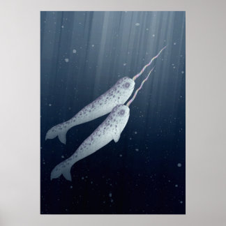 Poster Cute Narwhals Nager Ensemble Sous L'Eau