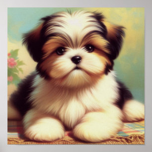 Poster Cute Shih-Tzu Peinture de chiot