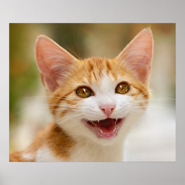 Poster Cute Smiling Kitten Face Funny Cat Meow (Devant)