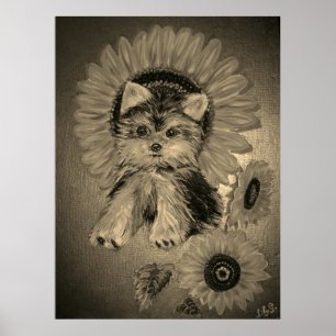 Poster Cute Yorkshire Terrier avec des tournesols