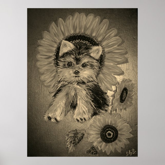 Poster Cute Yorkshire Terrier avec des tournesols (Devant)
