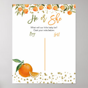 Poster Cutie Orange Citrus gender reveal voting board