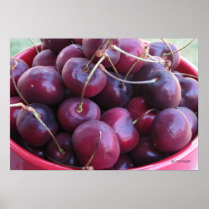 Poster Cuvette complètement d'affiche de cerises