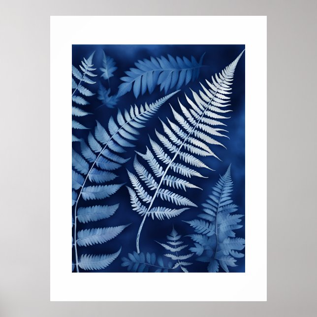 Poster Cyanotype de fougère bleue (Devant)