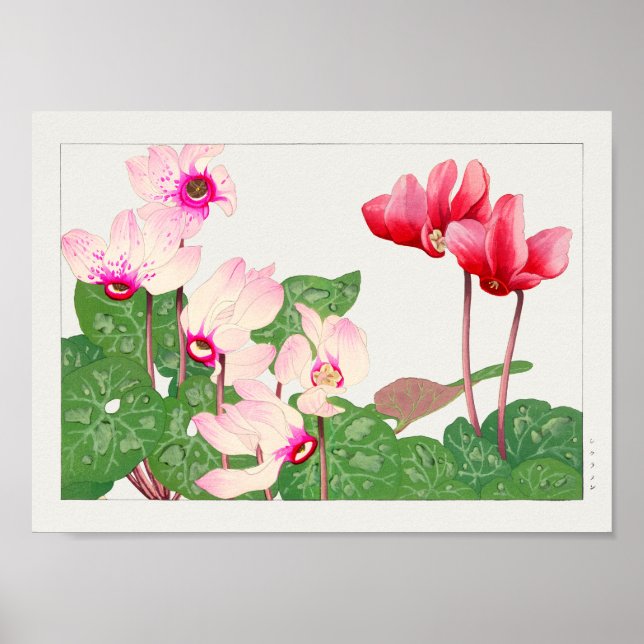 Poster Cyclamen par Tanigami Konan (Devant)