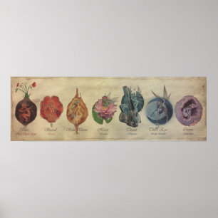 POSTER CYCLE DE FAE CHAKRA
