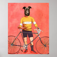 Cycliste Greyhound