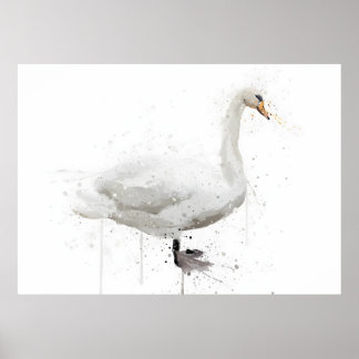 Poster Cygne