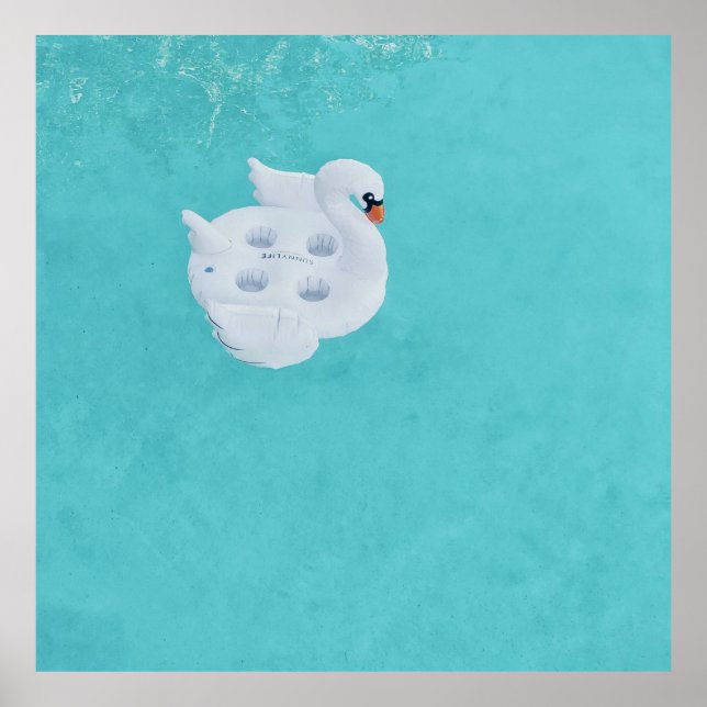 Poster Cygne blanc gonflable sur le plan d'eau (Devant)