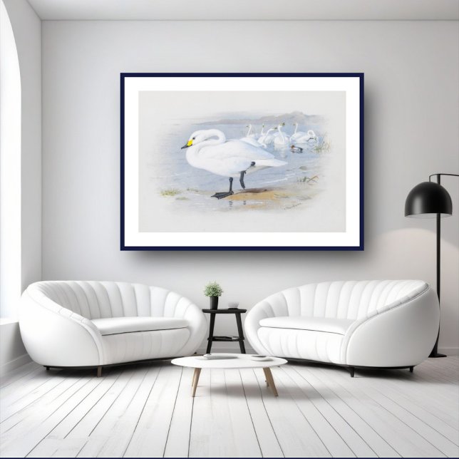 Poster Cygne blanc, illustration Oiseaux (Créateur téléchargé)