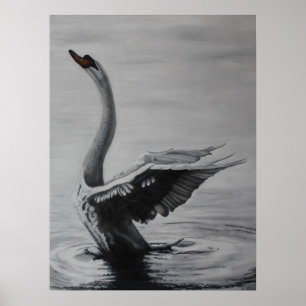 Poster Cygne (côté droit)