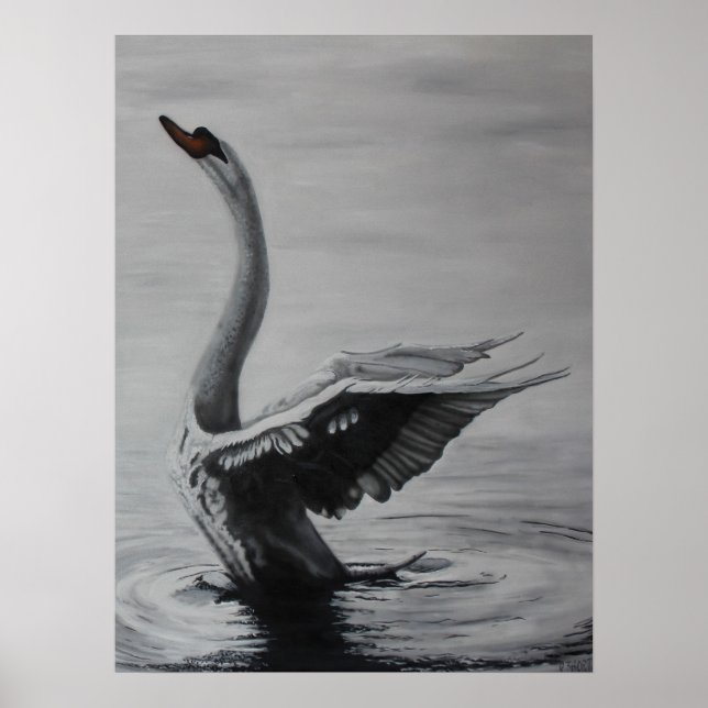 Poster Cygne (côté droit) (Devant)