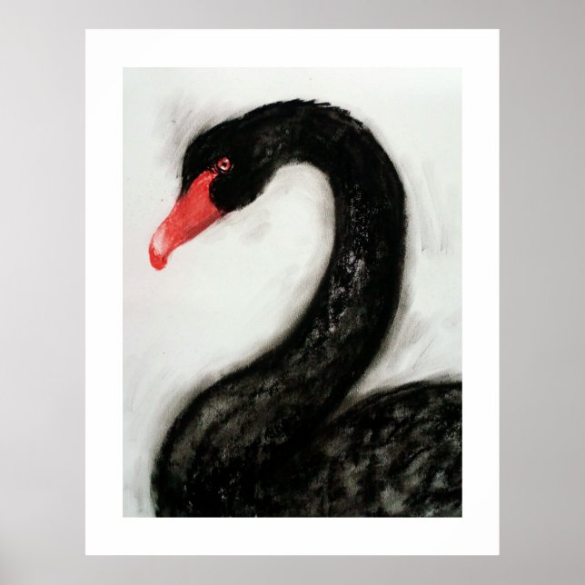 Poster Cygne noir (Devant)