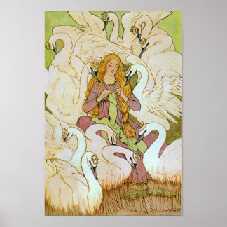 Poster Cygnes sauvages