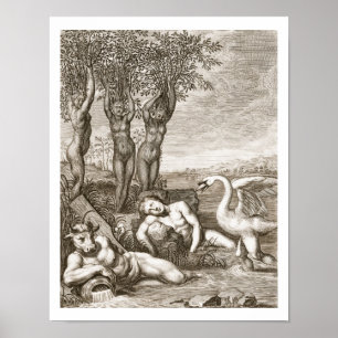 Poster Cygnus transformé en Siste de cygne et de phaéton