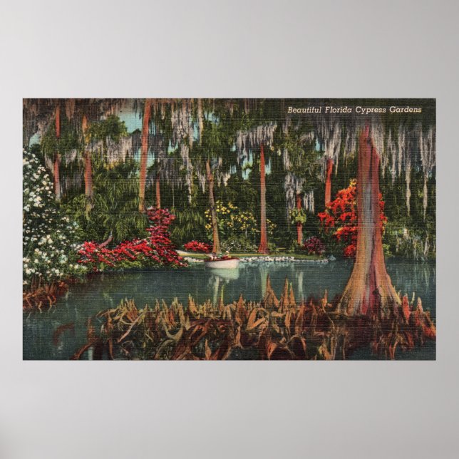 Poster Cypress Gardens Florida (Devant)