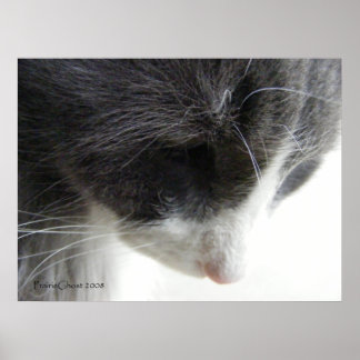 Poster C'zer 1