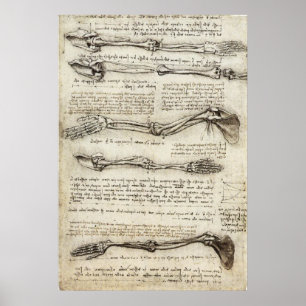 Poster Da Vinci, Léonard - Étude de l'anatomie