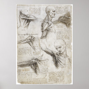 Poster Da Vinci, Léonard - Étude de l'anatomie