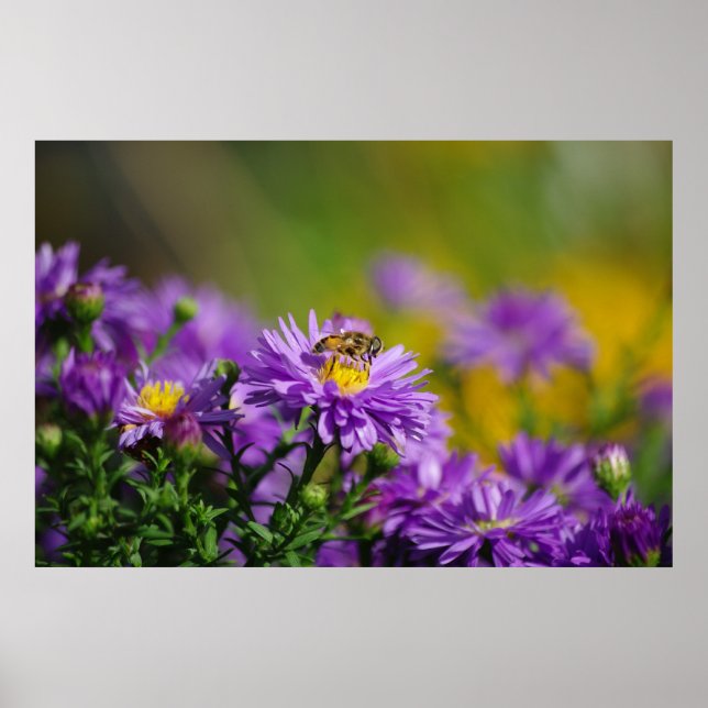 Poster d'abeilles (Devant)