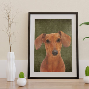 Poster Dachshund