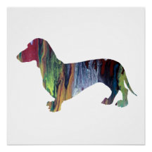dachshund