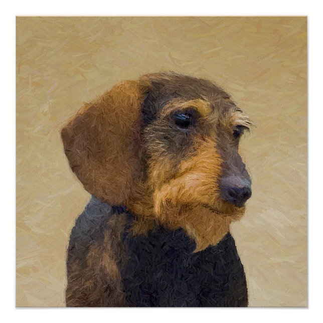 Poster Dachshund (À poils durs) Peinture Chien Art origin (Devant)