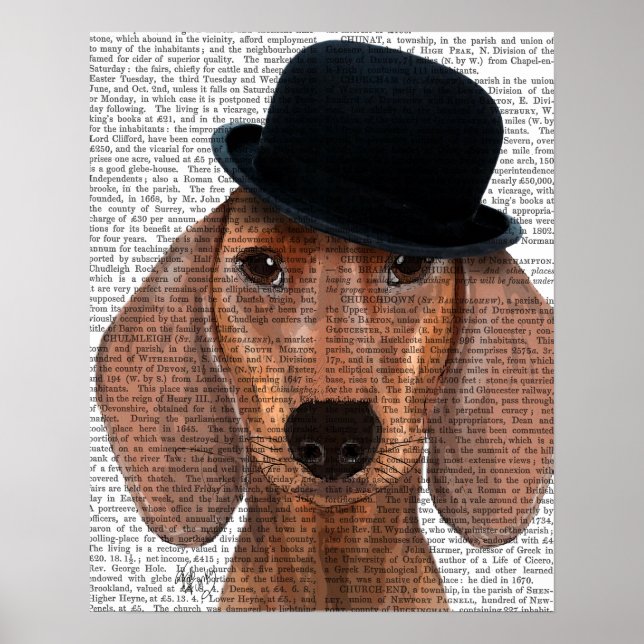 Poster Dachshund avec Casquette Black Bowler (Devant)