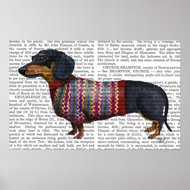 Poster Dachshund Avec Sweat Laineux (Devant)