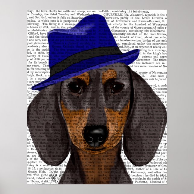 Poster Dachshund Avec Trilby Bleu (Devant)