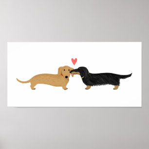 Poster Dachshund Baiser avec coeur