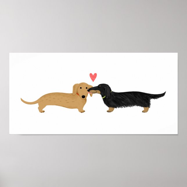 Poster Dachshund Baiser avec coeur (Devant)
