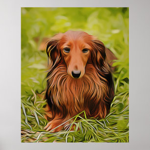 Poster Dachshund Brown Wiener Sur L'Herbe Dans Le Jardin 