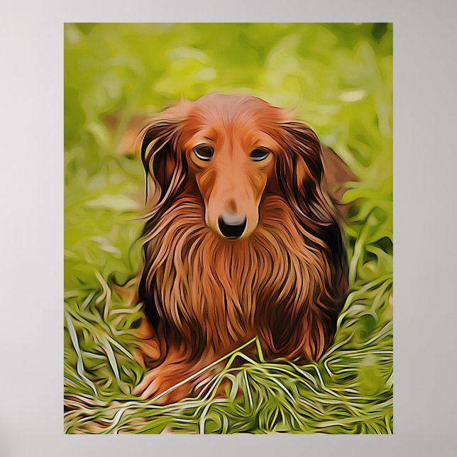 Poster Dachshund Brown Wiener Sur L'Herbe Dans Le Jardin  (Devant)