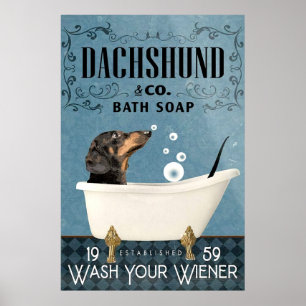Poster Dachshund Dans La Salle De Bain Salle De Bain Lave