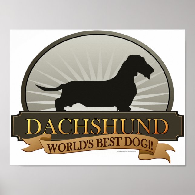 Poster Dachshund [Fil à cheveux] (Devant)