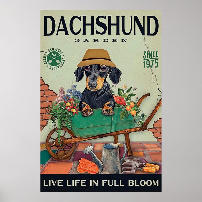 Poster Dachshund Gardening amusant citations cadeaux (Devant)