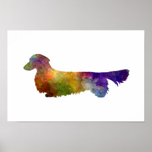 Poster Dachshund Long Haired in watercolor-2