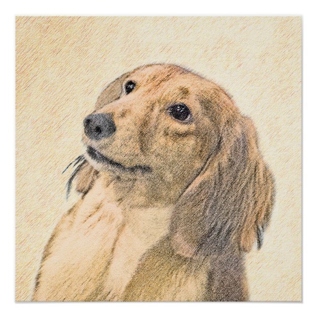 Poster Dachshund (Longhaerien) Peinture - Art Chien origi (Devant)