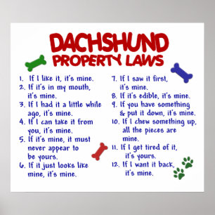 POSTER DACHSHUND PL2