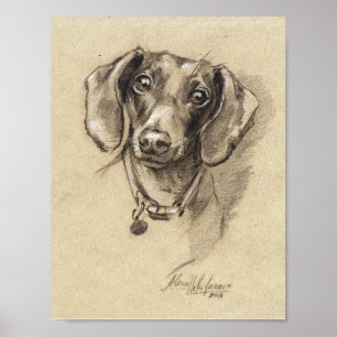 Poster - Dachshund taille portrait 8,5" x 11"