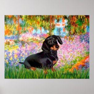Poster Dacshund (noir et feu 16) -  Jardin