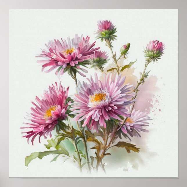 Poster d'affiche d'art rose Aster (Devant)