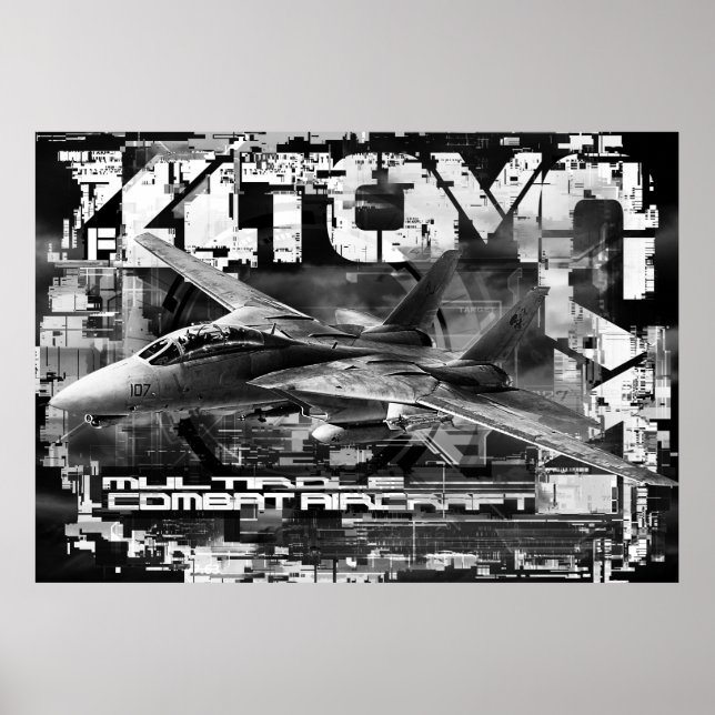 Poster d'affiche de la valeur de Tomcat F-14 (Matt (Devant)