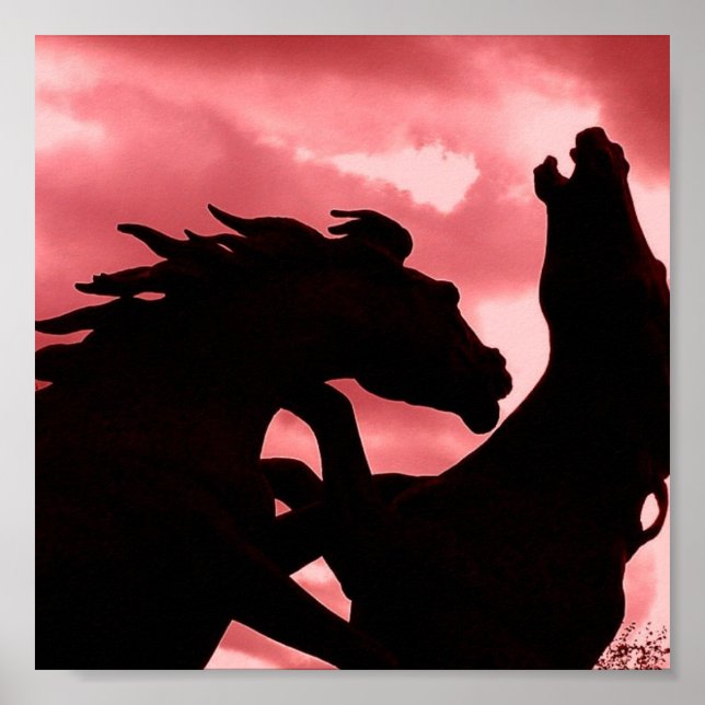 Poster d'affiche Silhouetté Stallion Design (Devant)