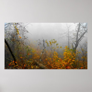 Poster d'affiche sur le brouillard d'automne dans